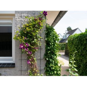 Outside living Klimrek metaal b60h150cm groen - afbeelding 3