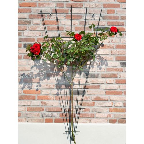 Outside living Klimrek metl v-vrm b5-75h150cm grs - afbeelding 2