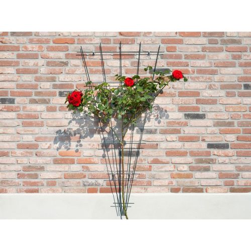 Outside living Klimrek metl v-vrm b5-75h150cm grs - afbeelding 3