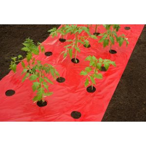 Outside living Kweekfolie voor tomaten rd b0.95l5m - afbeelding 5