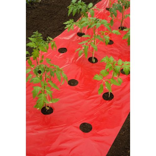 Outside living Kweekfolie voor tomaten rd b0.95l5m - afbeelding 3