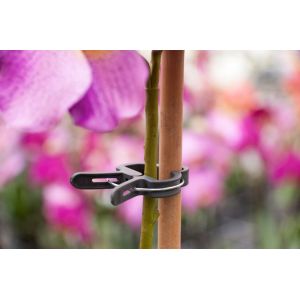 Outside living Plantenclip d24mm 10st - afbeelding 3