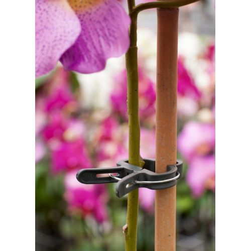 Outside living Plantenclip d24mm 10st - afbeelding 2