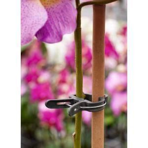 Outside living Plantenclip d24mm 10st - afbeelding 2