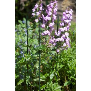 Outside living Plantenstok kunststof l180cm d11m - afbeelding 2