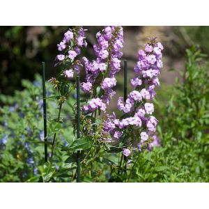 Outside living Plantenstok kunststof l180cm d16m - afbeelding 3