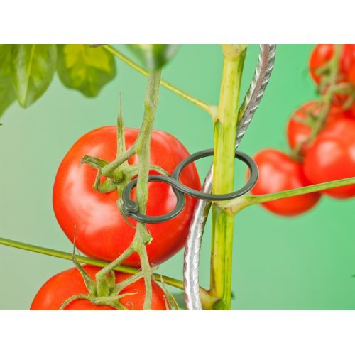 Outside living Tomatenplantring d65mm - afbeelding 3
