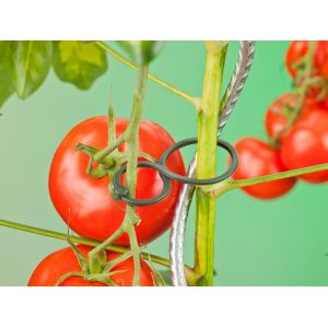 Outside living Tomatenplantring d65mm - afbeelding 3