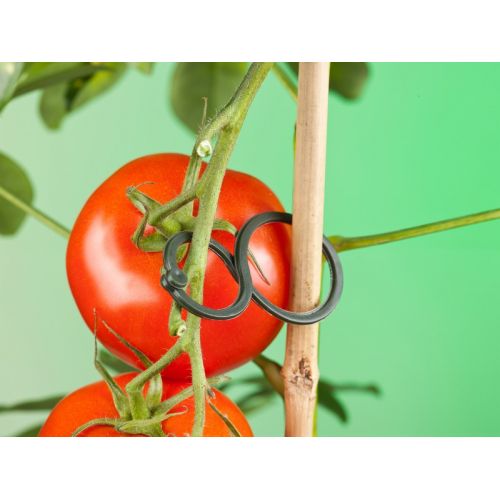 Outside living Tomatenplantring d65mm - afbeelding 4