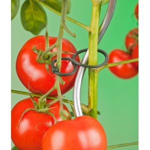 Outside living Tomatenplantring d65mm - afbeelding 2