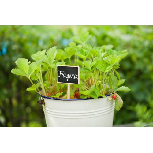 Outside living Plaatetiket met krijtbord en krijt - afbeelding 2