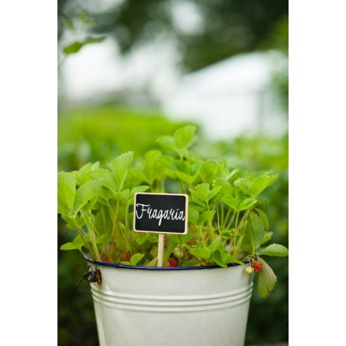 Outside living Plaatetiket met krijtbord en krijt - afbeelding 3