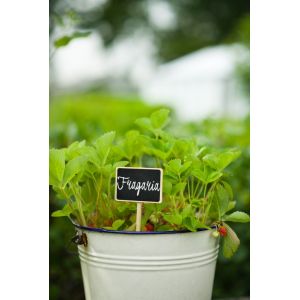 Outside living Plaatetiket met krijtbord en krijt - afbeelding 3
