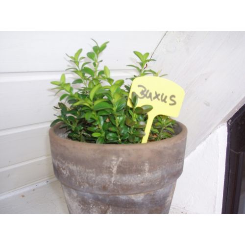 Outside living NATURE Plaatetiketten h14cm 10st - afbeelding 2