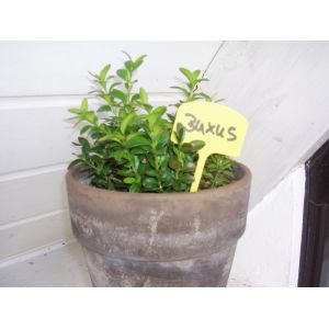 Outside living NATURE Plaatetiketten h14cm 10st - afbeelding 2