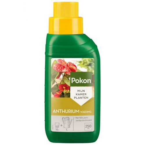 Pokon Anthurium Voeding - afbeelding 1