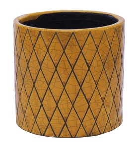 Mega Collections Shine Wyber Cylinder Honey D11H9