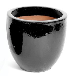 Mega Collections Glazed Egg Pot Shiny Black D38H32