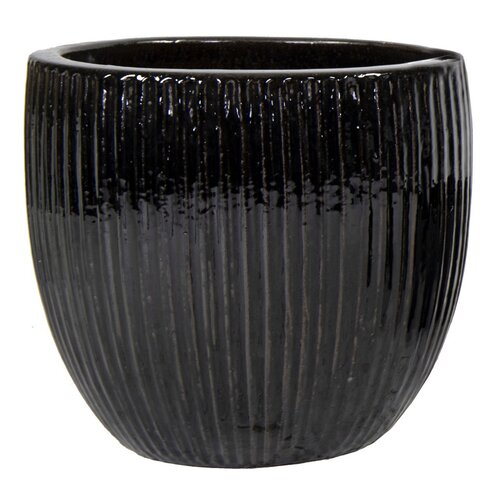 Mega Collections Portly Egg Rib Shiny Black D28H25