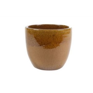 Ter Steege Pot Rico  honey D36 H33 ES/33