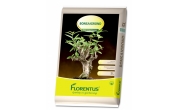 Florentus bonsaigrond 5L - afbeelding 2