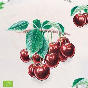 Prunus av Lapins patio bio