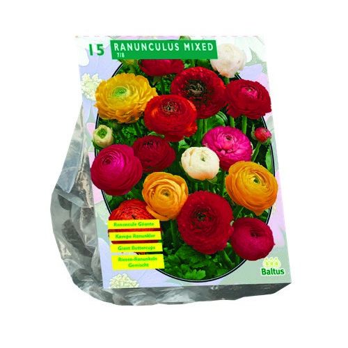 Ranonkel, Mix per 15