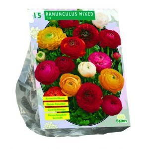 Ranonkel, Mix per 15