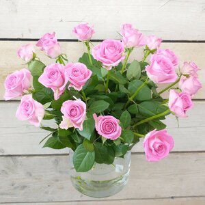 Roze rozen (prijs per stuk)