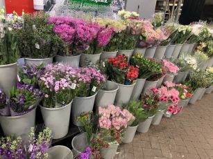 Snijbloemen