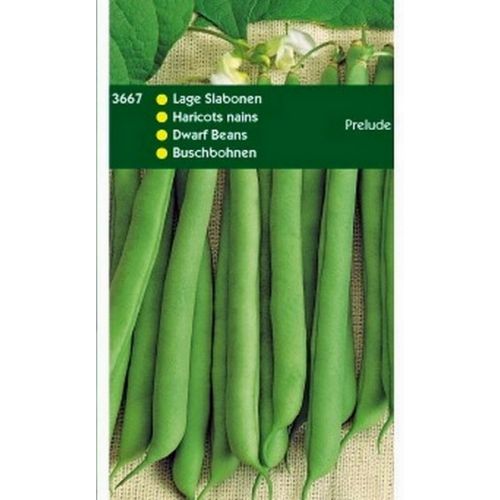 Stamslabonen Prelude, 250g