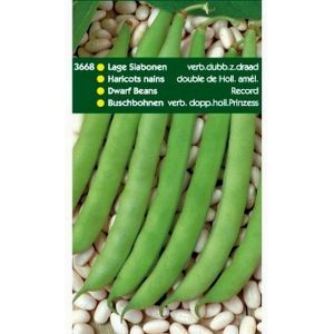 Stamslabonen Record, 250g