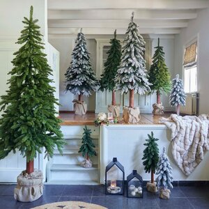Tora pine dia25-H65cm groen - afbeelding 2