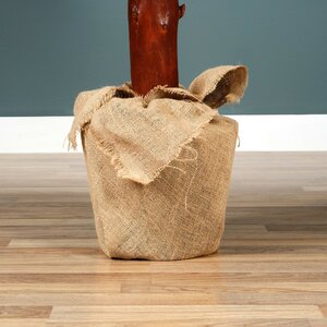 Tora pine dia85-H180cm groen - afbeelding 4