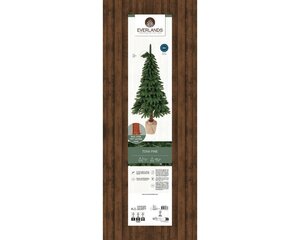 Tora pine dia85-H180cm groen - afbeelding 2