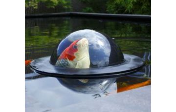 Ornamenten en decoratie