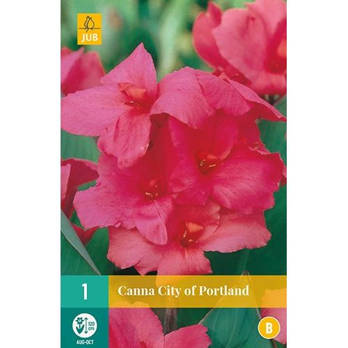 X 1 CANNA CITY OF PORTLAND