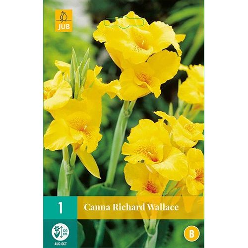 X 1 CANNA RICHARD WALLACE