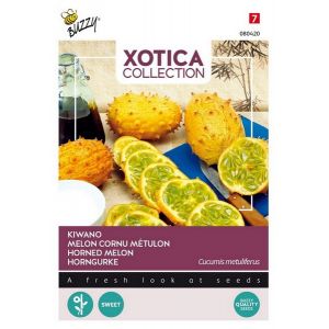 Xotica Kiwano Hoornmeloen - afbeelding 1