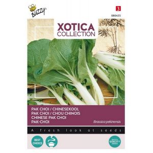 Xotica Paksoi Kanton - afbeelding 2