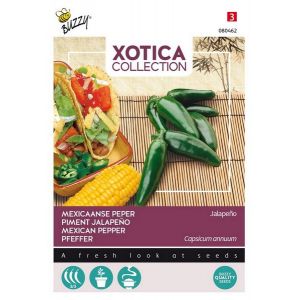 Xotica Peper Jalapeno - afbeelding 1