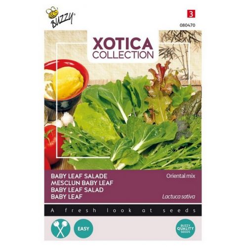 Xotica Salade Mix Exotisch Baby Leaf - afbeelding 1