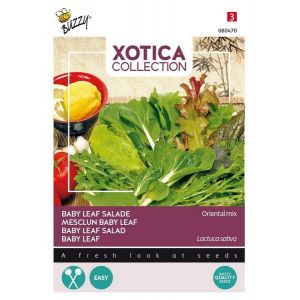 Xotica Salade Mix Exotisch Baby Leaf - afbeelding 1