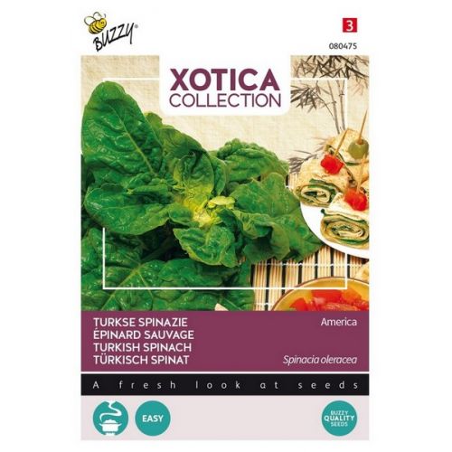 Xotica Spinazie - afbeelding 1